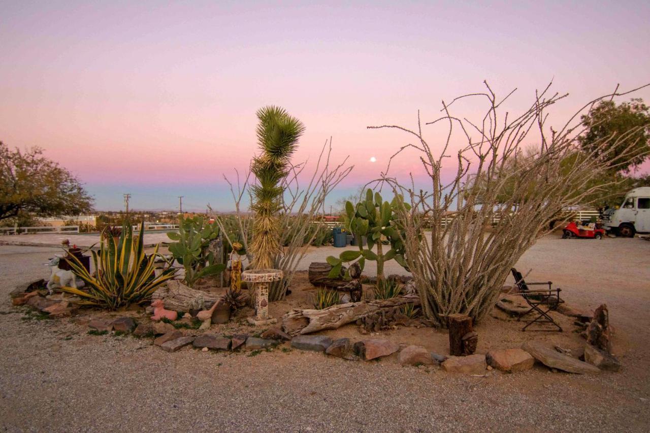 במוטל Joshua Tree Ranch House מראה חיצוני תמונה